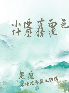 小便有白色颗粒什么情况