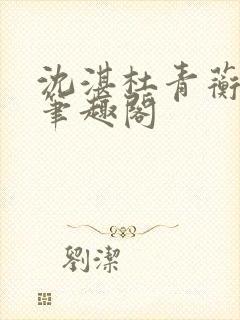 沈湛杜青蘅小说笔趣阁