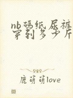 nb码纸尿裤能穿到多少斤