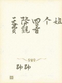 天降四个姐姐免费观看