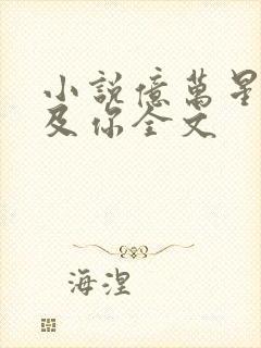 小说亿万星辰不及你全文