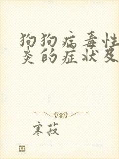 狗狗病毒性肠胃炎的症状及治疗