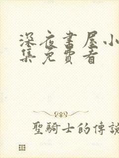 深夜书屋小说全集免费看