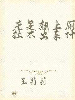 老是想上厕所又拉不出来什么原因