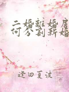 二婚离婚房产如何分割新婚姻法