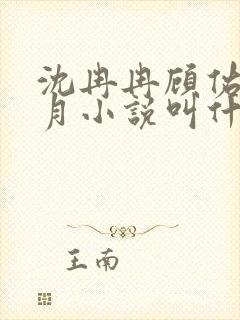 沈冉冉顾佑文方月小说叫什么名字