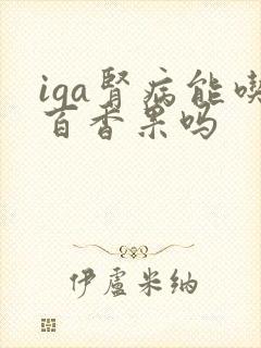 iga肾病能吃百香果吗