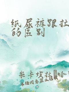 纸尿裤跟拉拉裤的区别