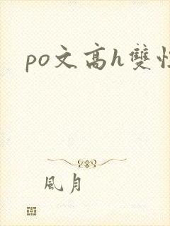 po文高h双性