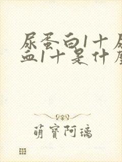 尿蛋白1十尿潜血1十是什么病