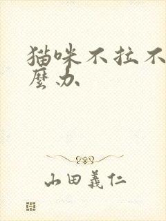 猫咪不拉不尿怎么办