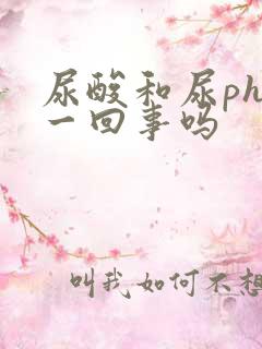 尿酸和尿ph是一回事吗