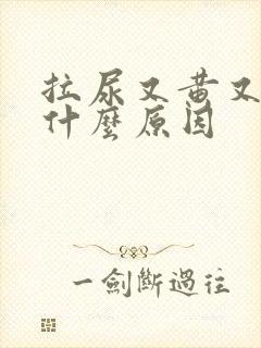 拉尿又黄又臭是什么原因