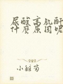 尿酸高肌酐高是什么原因呢