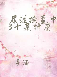 尿液检查中潜血3十是什么