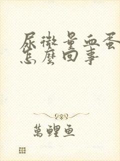 尿微量血蛋白高怎么回事