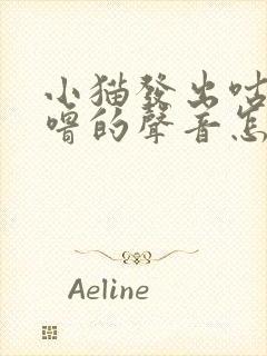 小猫发出咕噜咕噜的声音怎么回事