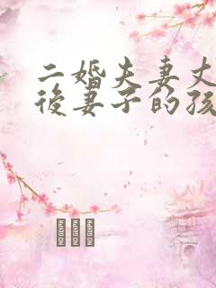 二婚夫妻丈夫死后妻子的孩子有继承权吗