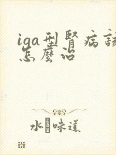 iga型肾病该怎么治