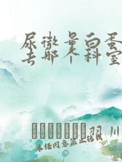 尿微量白蛋白高去哪个科室