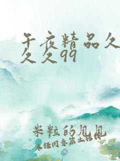 午夜精品久久久久久99