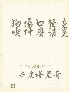 狗伤口发炎流脓吃什么消炎药