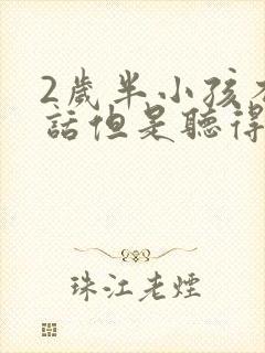 2岁半小孩不说话但是听得懂