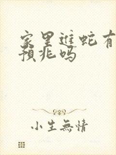 家里进蛇有什么预兆吗