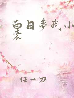 白日梦我小说抄袭