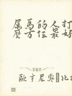 属马的人打牌什么方位最好