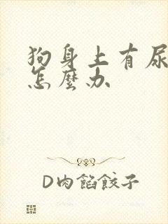 狗身上有尿骚味怎么办