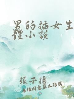 男的插女生的下体小说