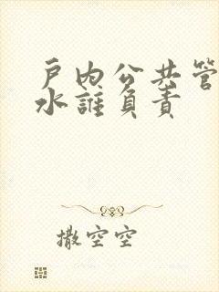 户内公共管道漏水谁负责