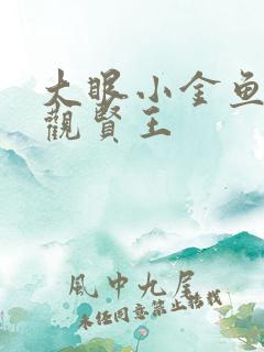 大眼小金鱼 贞观贤王