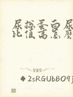 尿总蛋白尿肌酐比值高怎么回事