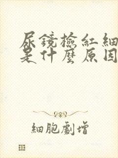 尿镜检红细胞高是什么原因