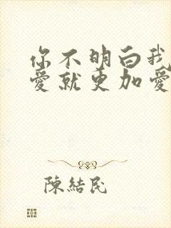 你不明白我说不爱就更加爱什么歌