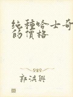 纯种哈士奇幼犬的价格