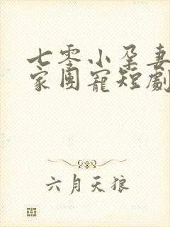 七零小孕妻被全家团宠短剧合集