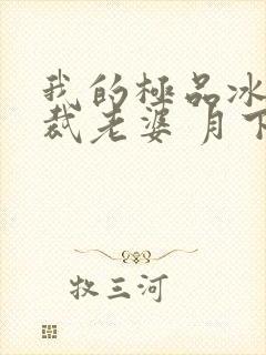 我的极品冰山总裁老婆 月下火
