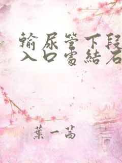 输尿管下段膀胱入口处结石好排吗