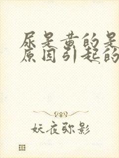 尿是黄的是什么原因引起的