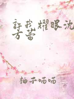 许我耀眼沈皓明方蕾