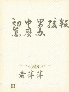 初中男孩叛逆了怎么办