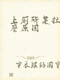 上厕所是拉血什么原因