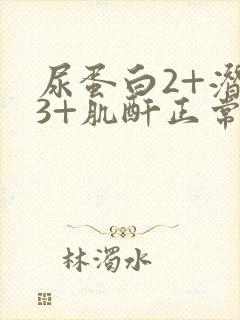 尿蛋白2+潜血3+肌酐正常