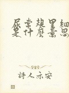 尿常规里细菌高是什么意思