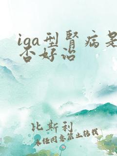 iga型肾病是否好治