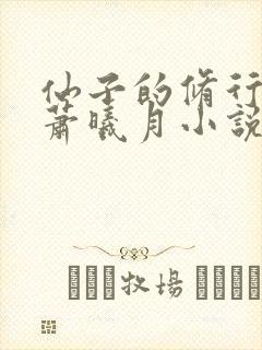 仙子的修行番外萧曦月小说