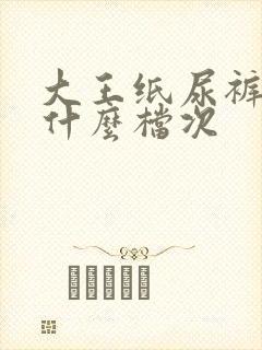 大王纸尿裤属于什么档次